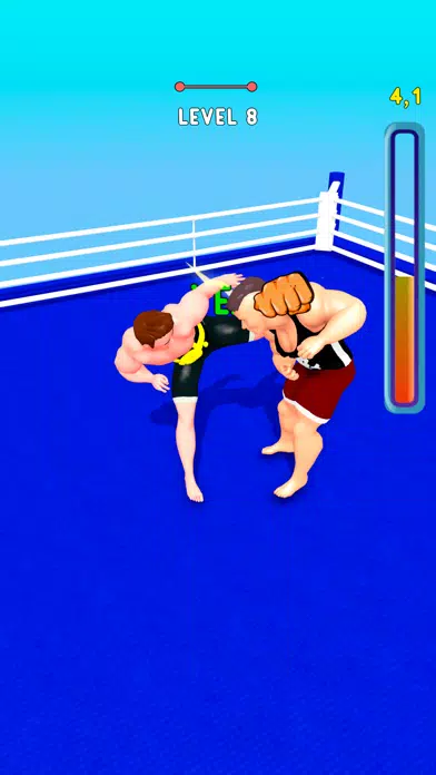 Boxer Training Screenshots