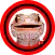 Suara Tokek Mp3