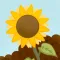 Plantare