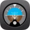 Virtual Instrumental Flight