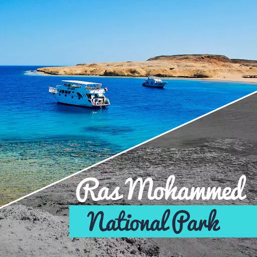Ras Mohammed