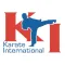 Karate International - Raleigh
