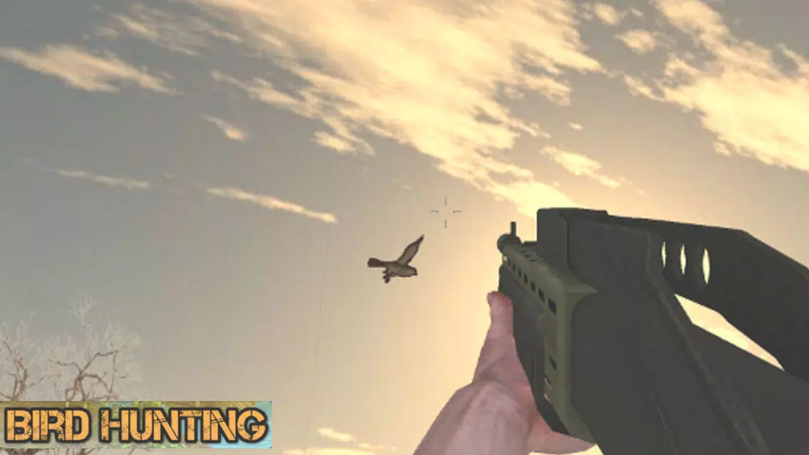 Birds Sniper Shooting Screenshots