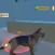Animal Shelter: The Pet Care