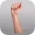 iGestural Language ASL Silver
