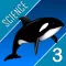 Science Quest - Third Grade Quiz
