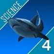 Science Quest - Fourth Grade Quiz
