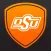 Orange Shield
