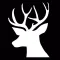 Buck - Betting App