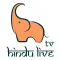 TV India Live