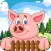 Pig Farming - Tap Tap Piggies