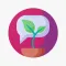 RootSnap Plant Identification