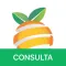 iCeasa Consulta