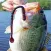 How To Catch Bass