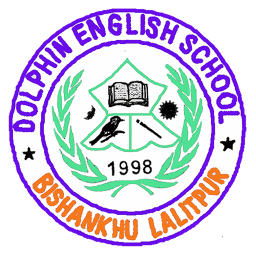 Dolphin School