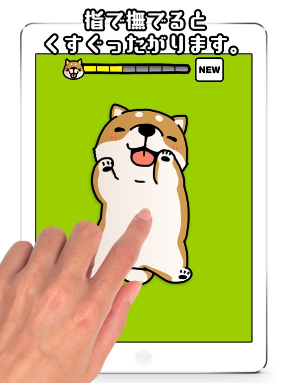 Ảnh chụp màn hình của Tickling dog iPad 