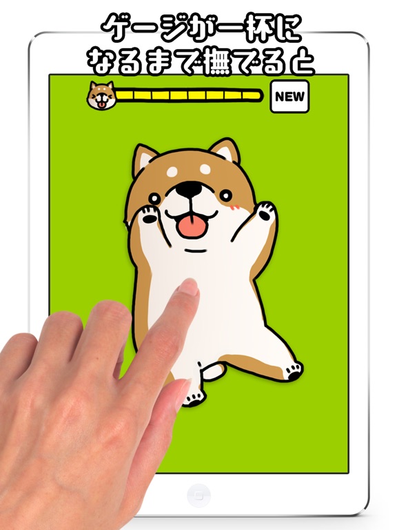 Ảnh chụp màn hình của Tickling dog iPad 