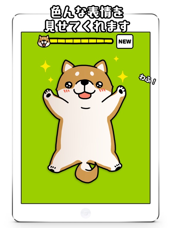 Ảnh chụp màn hình của Tickling dog iPad 