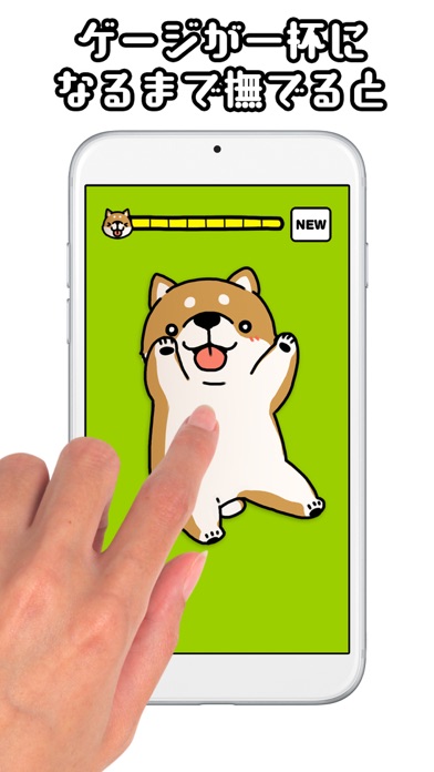 Ảnh chụp màn hình của Tickling dog