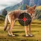 Coyote Target Shooting