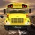 Kids School Bus Driver 3D Free Racing Simulation