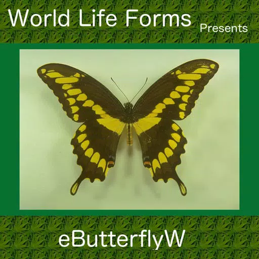 Butterflies of the World - A Butterfly App Butterflies of the World - A Butterfly App