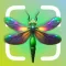 AI Insect Identifier, Bug App