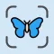 Bug Identifier: Butterfly ID