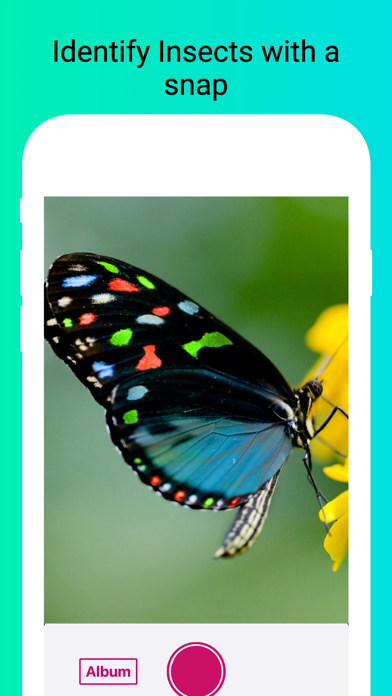 Insect Identifier - Scan Bugs Screenshots