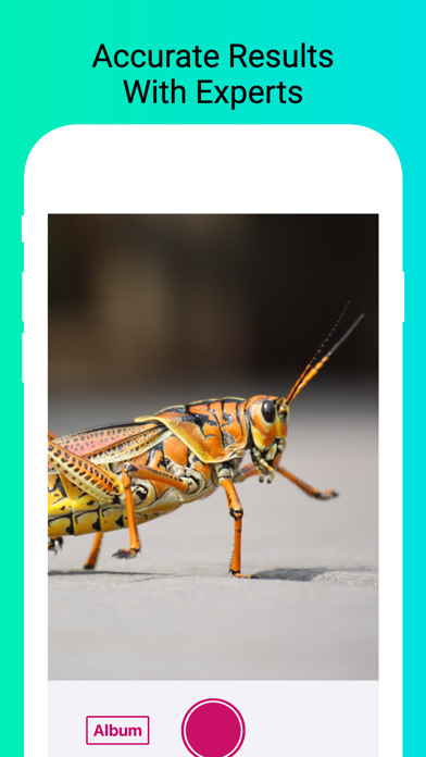 Insect Identifier - Scan Bugs Screenshots
