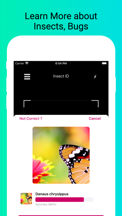 Insect Identifier - Scan Bugs Screenshots