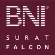 Falcon Buddy