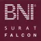 Falcon Buddy