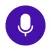 Instant AI Notes & Transcript