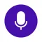 Instant AI Notes & Transcript