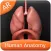 Human Anatomy for iPhone