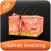 Human Anatomy - Integumentary
