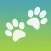 Caring for my dogs