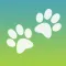 Caring for my dogs