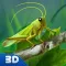 Grasshopper Insect Life Simulator 3D