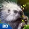 Porcupine Forest Life Simulator