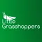 Little Grasshoppers