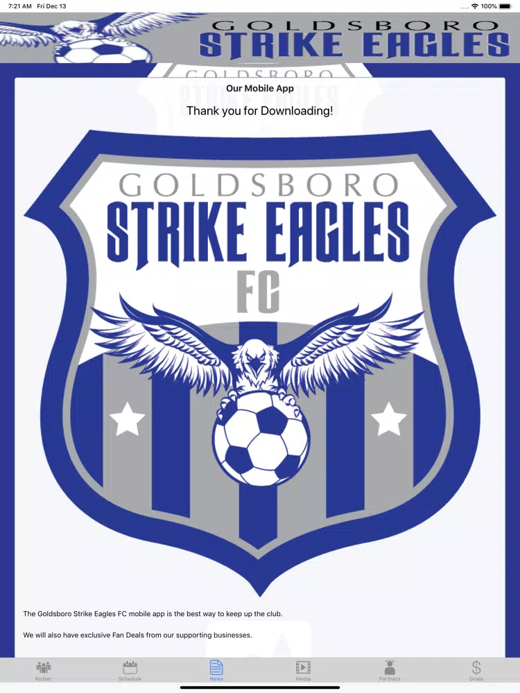 Strike Eagles iPad Screenshots