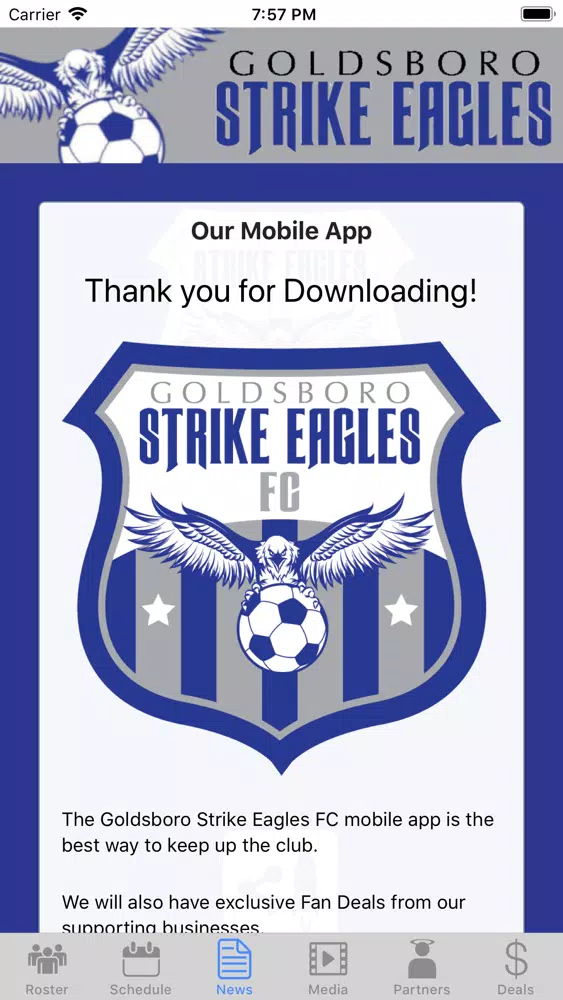 Strike Eagles Screenshots