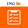 ING Lease Inspections