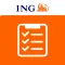 ING Lease Inspections