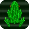 Journey of Amazing frogger