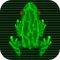 Journey of Amazing frogger