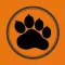 Princeton Pathways