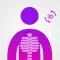Anatomy Easy : Learn Muscles, Skeleton and Bones